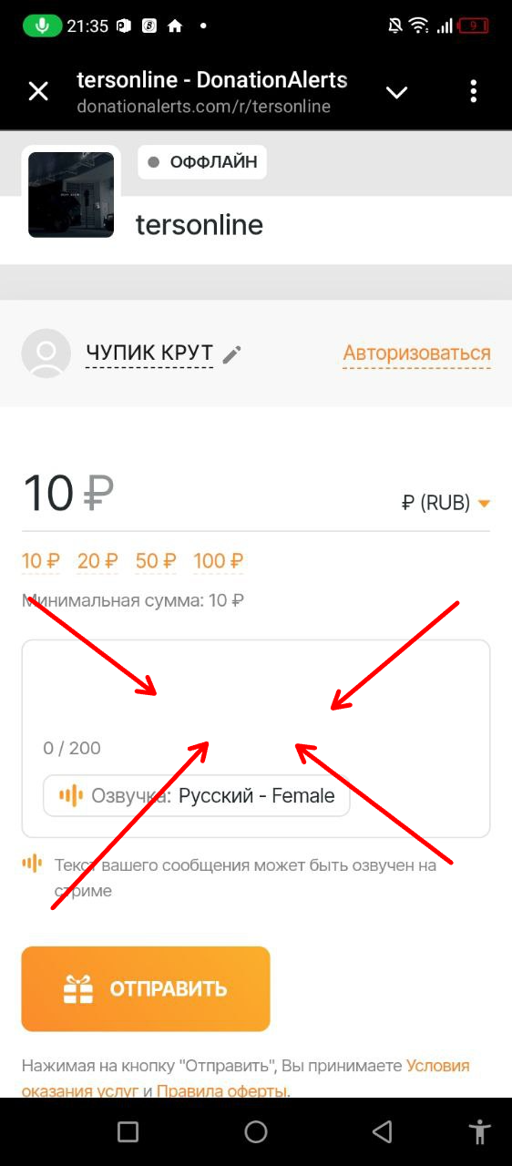 Пример заполнения DonationAlerts